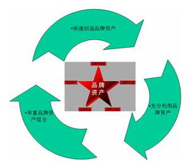 品牌戰(zhàn)略的本質(zhì) 價(jià)值管理的核心洞察